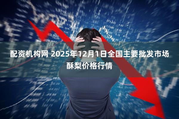 配资机构网 2025年12月1日全国主要批发市场酥梨价格行情